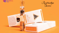 Cartridge Boxes