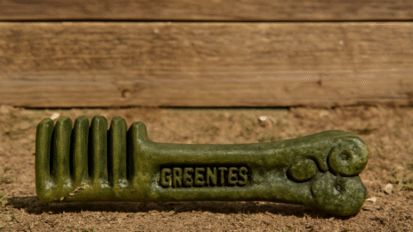 Greenies Blueberry Dog Dental Treats
