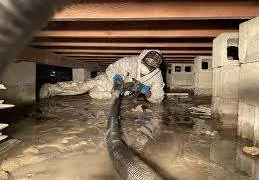 Crawl space cleaning